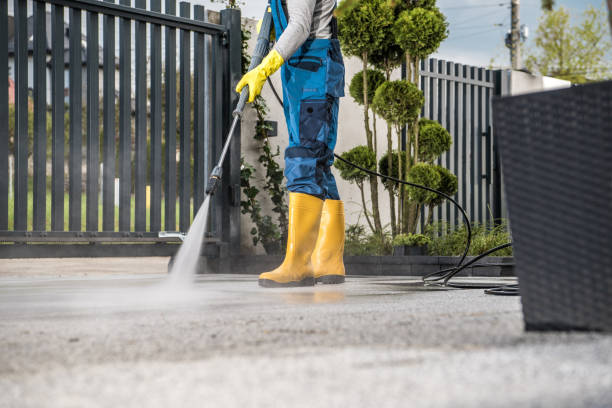 Best Roof Power Washing Services  in Marion, IA